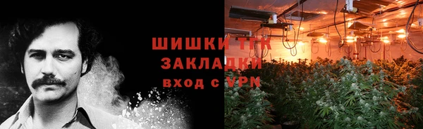 дмт Арсеньев