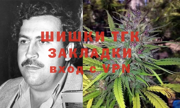 дмт Арсеньев